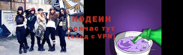 мяу мяу мука Гусь-Хрустальный
