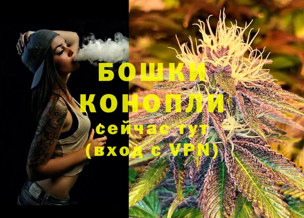 трава Гусев