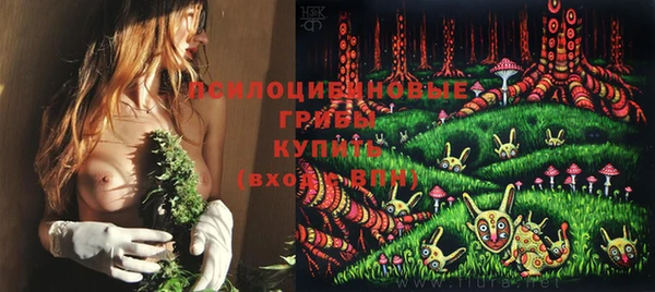 jwh Гусиноозёрск