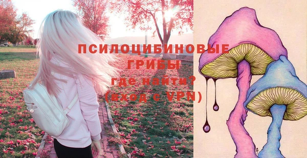 jwh Гусиноозёрск