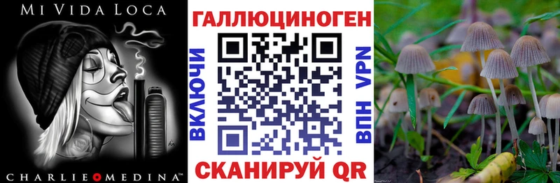 Галлюциногенные грибы Psilocybine cubensis  Купить  Переславль-Залесский 